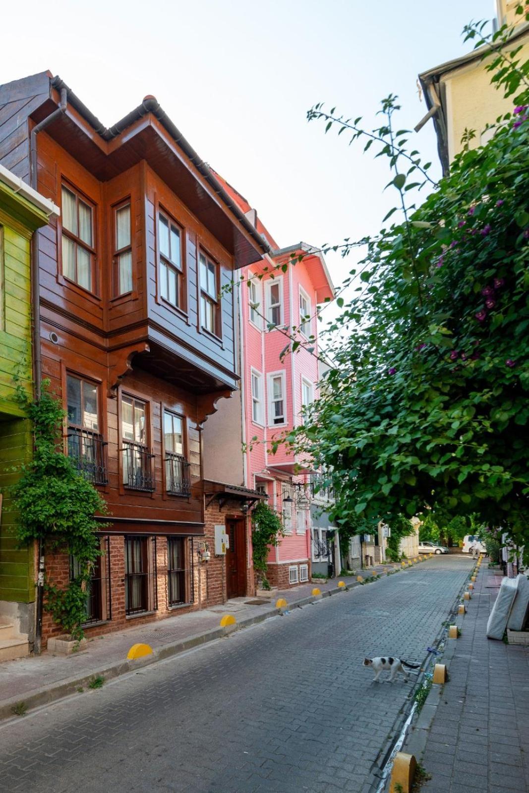 Brown Mansion Oldcity Isztambul Kültér fotó